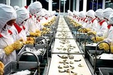 No subsidy for Vietnam’s shrimp producers: VASEP