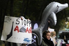 Worldwide anti-dolphin, whale hunt rallies planned