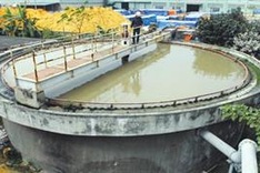 Deputy PM cracks down on firms violating pollution laws