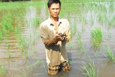 PM plants seeds for flora import restrictions move