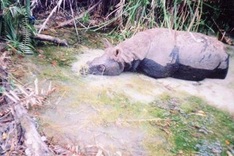 Short film contest to be launched in Vietnam