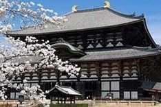 Japan offers free training for teachers and students