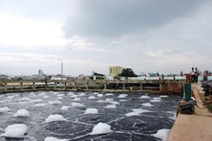 Businesses need “lever” to invest in environmental protection projects