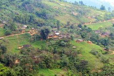 Pupil in Nghe An commits suicide for fear of being punished