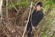 Men prosecuted for killing Indochinese serow in Quảng Bình