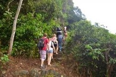Efforts made to preserve biodiversity in Cat Ba National Park