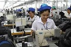 Swedish firms keen on Vietnamese market