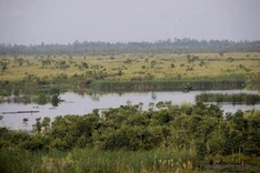 Mekong Delta aims for sustainable wetland usage
