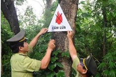 19 localities put on forest-fire alert