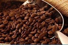 Coffee production to rise 10% in MY2017/18