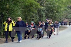 Sapa prepares for long holiday rush