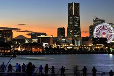 Japan recovery 'has paused', warns central bank