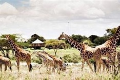 Vietnam’s first wildlife park launched in Phu Quoc