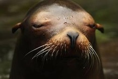 2016 'very likely' to be hottest year on record: UN