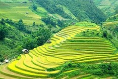 Sapa to promote development of unique tourism products