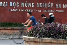 Universities seek to resume doctorate training