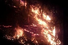 Authorities race to extinguish Nghe An forest fire