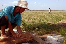 Mekong provinces discuss climate change strategies