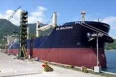 G-guaranteed bonds issued to help Vinashin