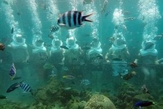 Cham Island to launch sea walking tour