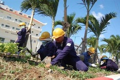 Four firms in HCM City  face thorough inspection after salary theft scam