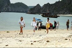 Cat Ba’s environment threatened by port development
