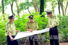 Vietnam intensifies efforts to reduce emission