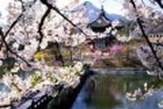 Bilingual book on life in S. Korea published