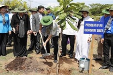 IPU delegation plants trees in HCM City
