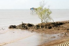 Oxfam helps Tien Giang adapt to climate change