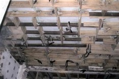 Bird-flu hits edible nest sales