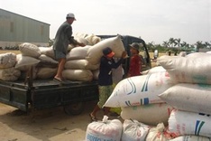 Vietnamese rice exporters facing fierce competition this year