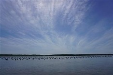 City plans eco-tourism expansion in Cần Giờ District