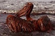 In Photos: Two months later, the oil still flows