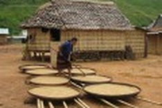 Quang Nam ethnic minorities celebrate healthy harvest