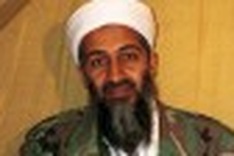 Hollywood mulls film version of bin Laden killing