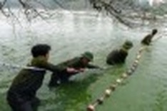 Hoan Kiem’s legendary turtle to get treatment by weekend