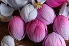 Lost art of the paper lotus making a comeback