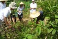 City club fosters clean living