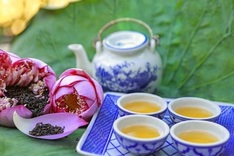 Hanoi lotus tea promotion centre proposed