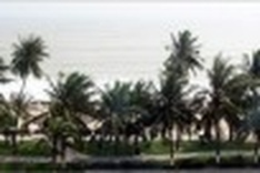 Nha Trang Sea Festival to feature charity show