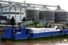 Mekong Delta targets 5.5 million tonnes rice export in 2011