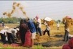 Joining hands to build new rural areas