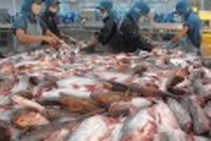 EU import laws could hurt Vietnam exports