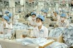 New ambassadors expected to boost business overseas