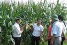 IFAD helps Vietnam develop agriculture