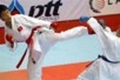 Vietnam wins 7 golds at International Open Karate Championship