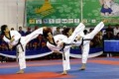 Vietnam, RoK cooperate on training taekwondo players