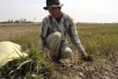 Farmers “thirsty” for information