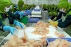 Seafood exports expected to hit USD8 billion by 2020